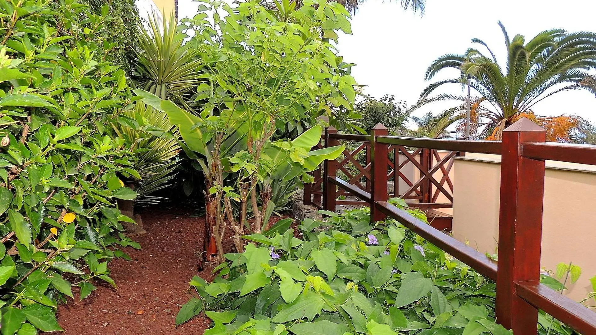 Apartman Apartamento Mar Y Teide Sauzal Spanyolország